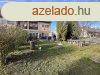 Elad sorhzi laks a Balatonnl