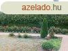 Cserszegtomajon jszer kt lakegysges csaldi hz elad