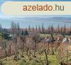 Azonnal kltzhet nyaral panorms kiltssal! - Szigliget