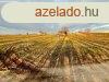 Elad 37 nm-es Csaldi hz Mr