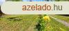 Szntdon vzkzeli ikerfl nyaral