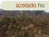 rk Panorms  pthet zrt kert - Balatonszepezd