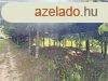 Elad nyaral Zalaegerszeg, 	Sk terlettel s kis fenyvesse