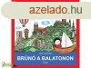 Balaton-felvidk - Brn a Balatonon 1.