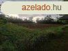 Mhszetnek kvl lehetsg Mezcsokonya s Csombrd hatr