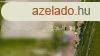 Elad csaldi hz Tura, 	Kzel a termszethez