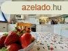 Alsvroson laks elad - Szeged