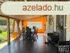 Elad 170 nm-es jszer llapot Csaldi hz Deszk   