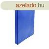 Villmzras mappa A4, manyag Bluering, kk