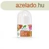 Dr.organic bio argn olaj golys deo 50 ml