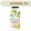 Langelica officinalis hajerst sampon koml s kles 250 m
