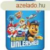 Vdflia lsre Paw Patrol