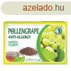 Dr.chen pollengrape tea 20x2,5g 50 g