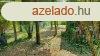 Elad nll nyaral vagy ptsi telek Velencefrd npszer