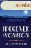 Nancy Drew naplja 2 - Idegenek a vonaton