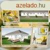 Elad 76 nm-es j pts Tglalaks Szombathely