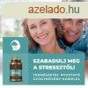 Myrobalan bioxan termszetes nyugtat gygynvny-komplex ve