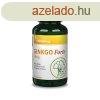 Vitaking Ginkgo Forte Kapszula 120Mg 60 db