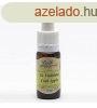 Bach virgeszencia vadrzsa 10 ml