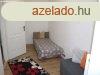 Kiad 50 nm-es Feljtott Trsashzi laks Gyula
