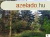 Piliscsaba, 88 m2, 64000000 HUF, 2 szoba, 2 flszoba [4425_4