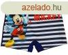 Kisfi frdboxer Mickey egr mintval