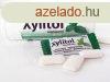 Xylitol rggumi fodormenta 30 db