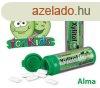 Xylitol kids gyermek rggumi alma z 30 db