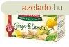 Teekanne ginger & lemon tea 20x1,7g 35 g