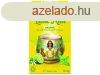 Yogi bio tea lime-menta 17x1,8g 31 g