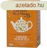 Ets bio gymbres barack tea 20x2 g 40 g