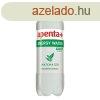 Apenta+Energy Water matcha 0,75l-DRS