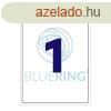 Etikett cmke, 210x297mm, 100 lap, 1 cmke/lap Bluering
