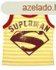 Superman gyerek ujjatlan pl