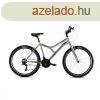 CAPRIOLO MTB DIAVOLO 600/18HT GREY/GREEN 920319-19