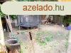 26HD9865  Dunabogdnyban a domboldalban 2000-ben plt csal