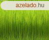 Nylon zsinr - 0.5 mm - Lime