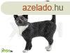 Schleich: ll macska figura 13770