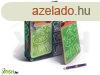 Crayola: Neon vilgt utaz festkszlet