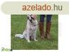 Trixie hm top trainer s,fekete