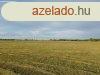 Mezszentgyrgynl legel elad!