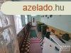 Elad 120 nm-es Feljtand Csaldi hz Hdmezvsrhely   