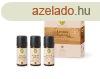 Primavera Ajndkcsomag Strenght & Calmness (Aroma Sauna