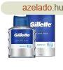 Gillette After shave Series Arctic Ice (After Shave Splash) 