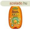Garnier Sampon s balzsam Botanic Therapy Apricot (Shampoo &