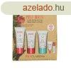 Clarins Ajndkcsomag az egszsges br rdekben