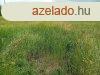 Klnleges fejlesztsi terlet Balaton-kzelben - Zamrdi
