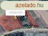 Sznt | Mrahalmi 12435 nm-es sznt, 13,91 AK , kzvetlen 