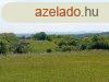 Elad 70 nm-es Feljtand Csaldi hz Baranyajen