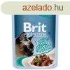 BRIT PREMIUM CAT TASAK DELICATE FILLETS IN GRAVY WITH BEEF 8